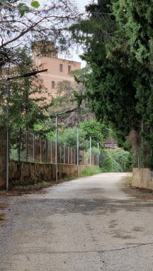 Installats els nous fanals solars al cam del Poliesportiu