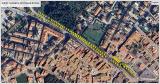 Aprovaci inventari arbes inters local (AIL)